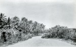 Ocean Boulevard near Manalapan, c. 1920