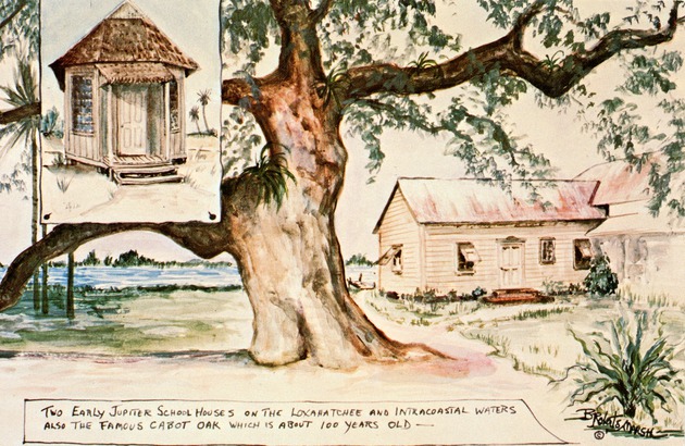 Early Jupiter Schoolhouses and Cabot Oak, c. 1985