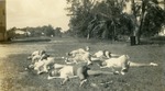 [1944] Exercise class at Boynton High, c. 1944