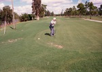 Man on golf course, 1987