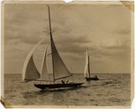 [1930] Sailboats on Biscayne Bay