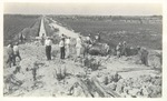 [1913] Road Building in the Everglades