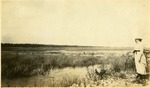 [1921-02] View of Glades West of Hammock in Royal Palm State Park