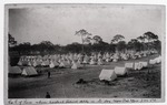 [1898] Camp Miami