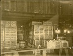Crates Filled with Tomatoes in the Peters Family Packing House
