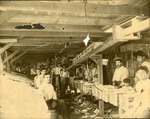 [1900] Crewmen in an Assembly Line Loading Up Crates in the Packing House