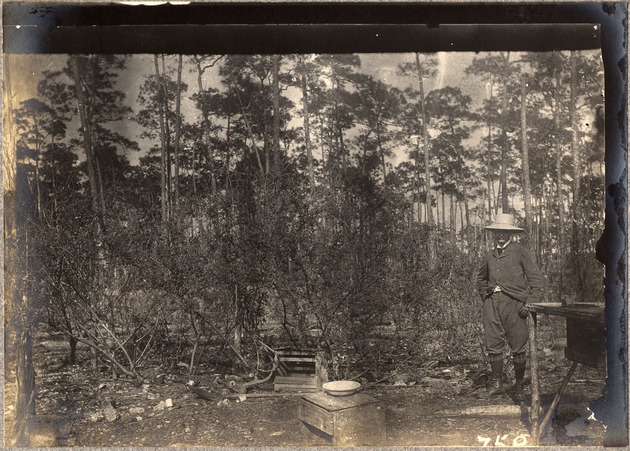 French Count Met at Cutler