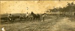 [1900] Mules Pulling Carts on Wooden Track Railroad from Peters to Cutler