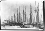 Sailing Ships Docked at Miami