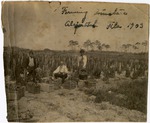 [1903] Farmers in Allapattah