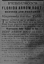 [1859] Ferguson's Florida Arrowroot