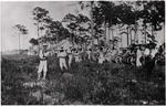 Spectators at the Site of the First Plane Flight in Miami