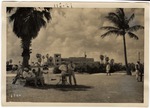 [1929-03-20] Golf Course (Miami Springs, Fla.)