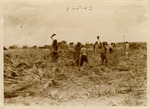 [1923-07-07] Clearing Higher Land Miami Beach North of Dade Boulevard