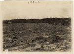 [1922-08-04] Recently Cleared Land (Miami Beach, Fla.)