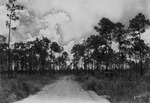 [1929] Ingraham Highway