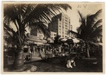 Tea Dance in the Garden at the Flamingo Hotel (Miami Beach, Fla.)