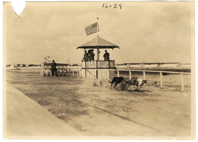 Greyhounds Racing at Smith's Dog Track