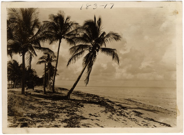 Beach by Ocean Drive (Miami Beach, Fla.)