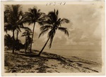 [1922-05-05] Beach by Ocean Drive (Miami Beach, Fla.)