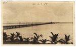 [1920] Collins Bridge (Miami Dade County, Fla.)