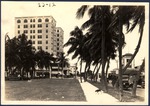 Looking North on Present-Day Biscayne Boulevard (Miami, Fla.)