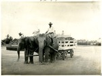 [1924-07-19] Aaron Yarnell with Elephants Baby Carl and Rosie