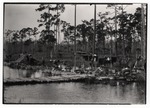 Seminole Camp in Everglades