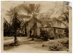 [1924-06-04] Coconut Grove House (Miami, Fla.)