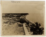 [1914] Ocean Walk Viewed From North Tower on 18Th Street (Miami Beach, Fla.)