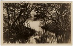 [1897] Crocodile Hole on Indian Creek (Miami Beach, Fla.)