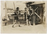 Boxers Sparring