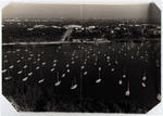 Coconut Grove waterfront with pleasure boats dotting the bay