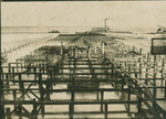 Construction of Bayfront Park showing Elser Pier