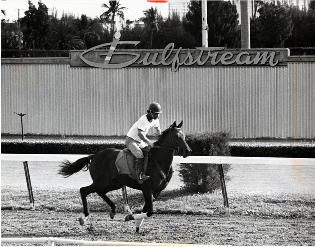 Gulfstream Race Track