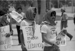 Lebanese protest over Israeli raids on Beirut