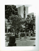 Miami City Cemetery
