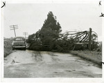 Devastation from Hurricane of 1948