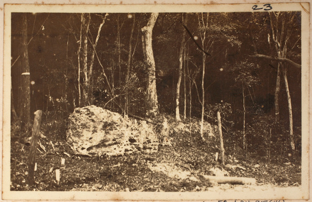 Cliff in Woods Bordering Forecourt on North Side of Entrance