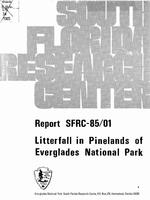 [1985-03] Litterfall in Pinelands of Everglades National Park