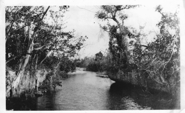 River heading to and from Arch Creek bridge