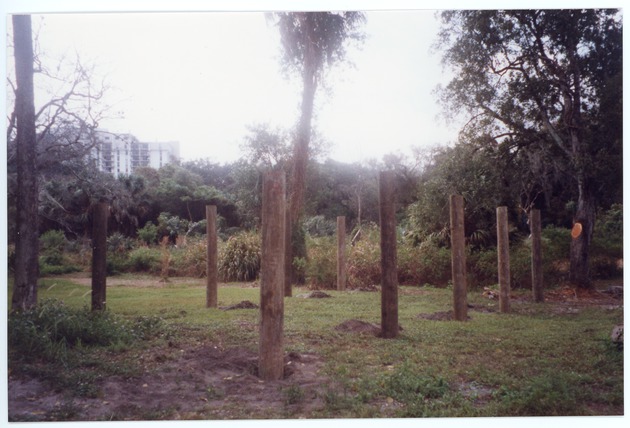 Support poles in place for construction of large Chickee
