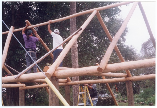 Roof Poles Going Up in Large Chickee