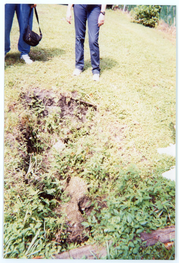 Arch Creek Park archaeological dig