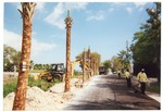 Planting for Addition to Military Trail, 2002