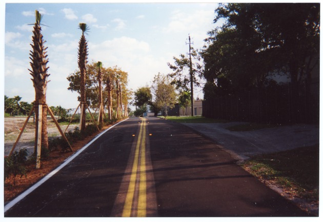 Newly Planted Sabal Palms Adjacent to Military Trail on Addition to the Arch Creek Park, 2002