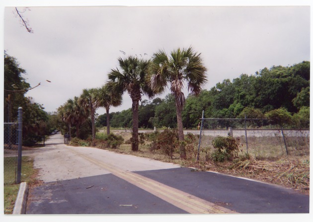 Cleared Military Trail looking south into the park,2005