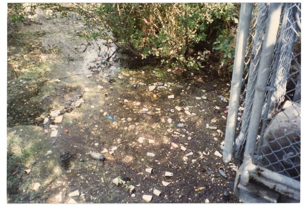 Trash Pollution in Arch Creek by the Dam at NE 135th Street