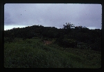 [1996-08] Dominican Republic - Deforestation of Cañada El Maniel