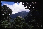 [2002-08] Dominica